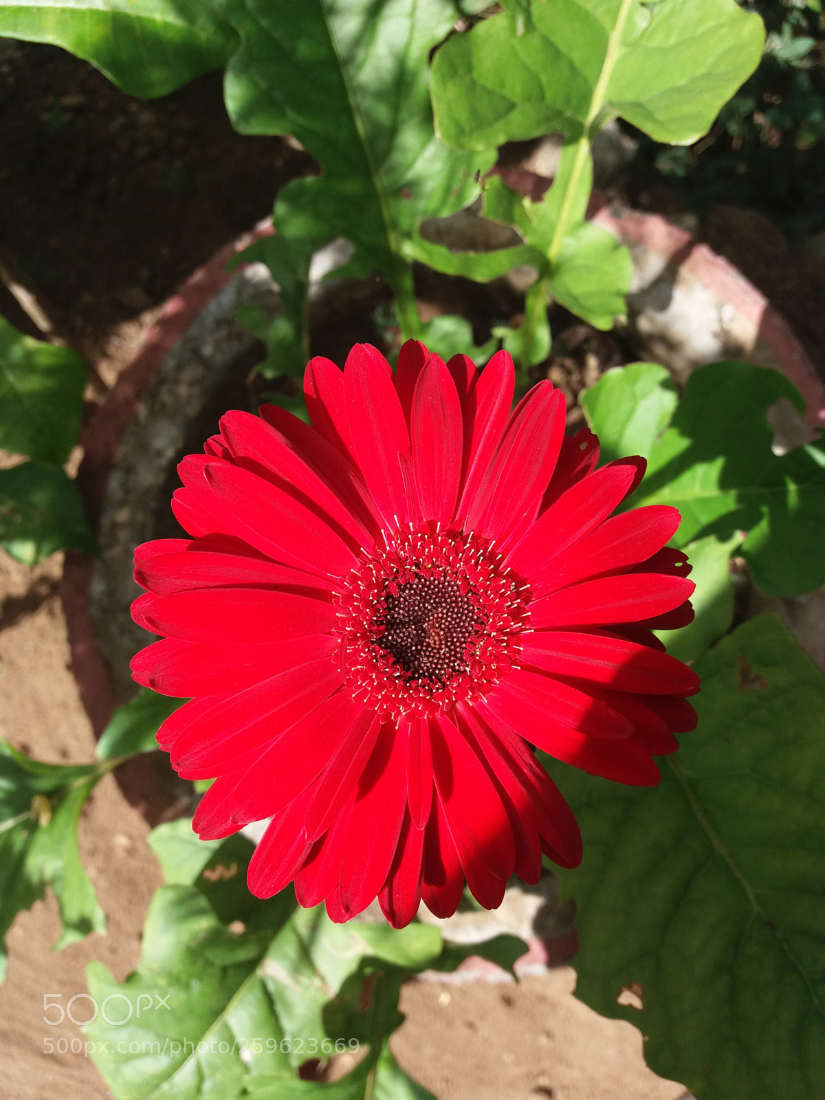Samsung Galaxy J5(2016) sample photo. Untitled photography