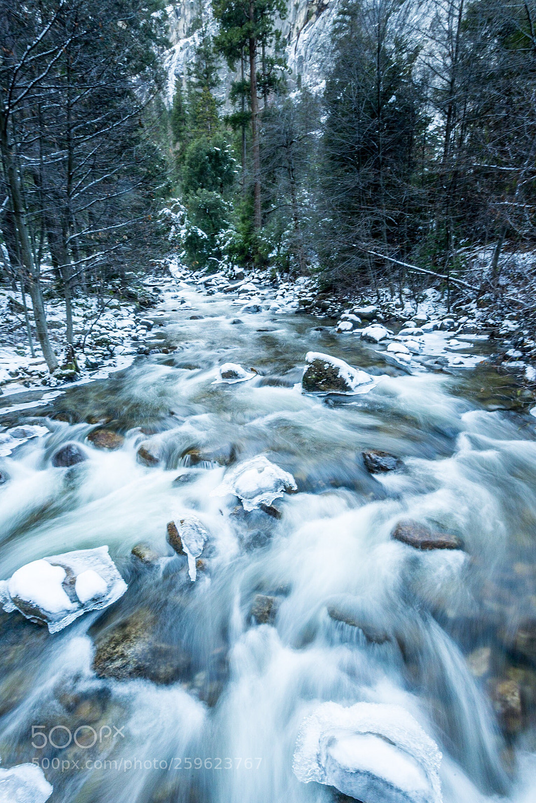 Nikon D610 sample photo. Merced river in winter photography
