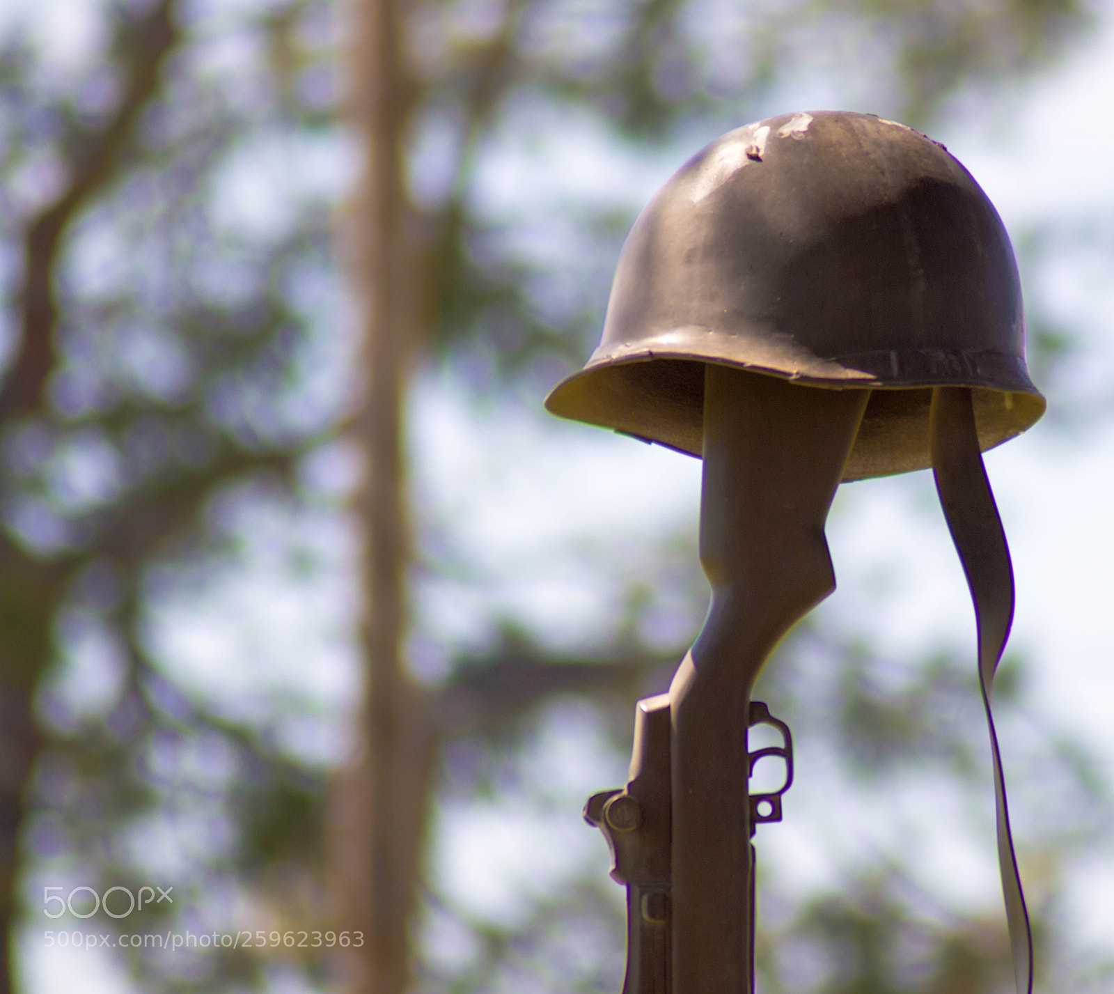 Nikon D3200 sample photo. Remember the fallen photography