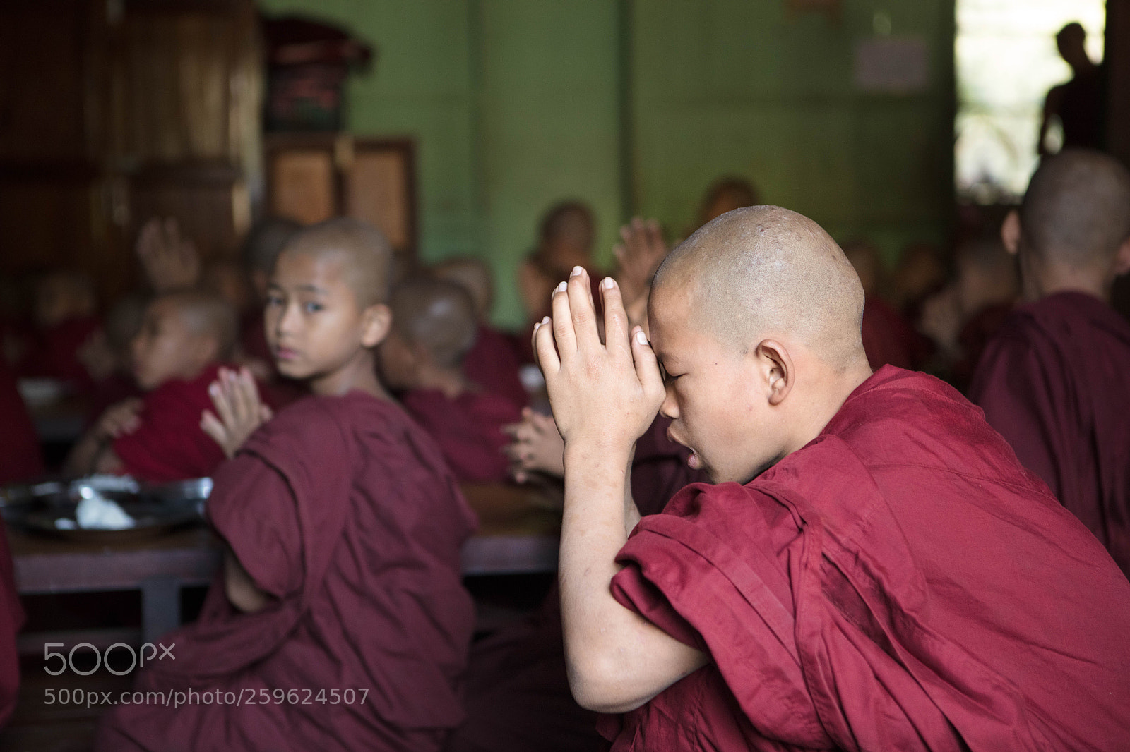 Canon EOS 5DS sample photo. Untitled photography