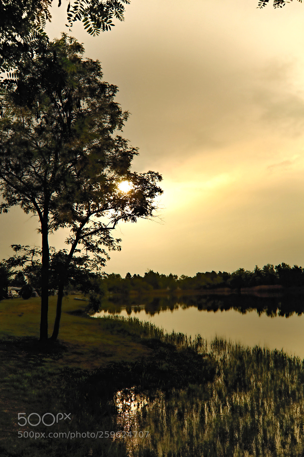 Canon EOS 600D (Rebel EOS T3i / EOS Kiss X5) sample photo. The day awake photography