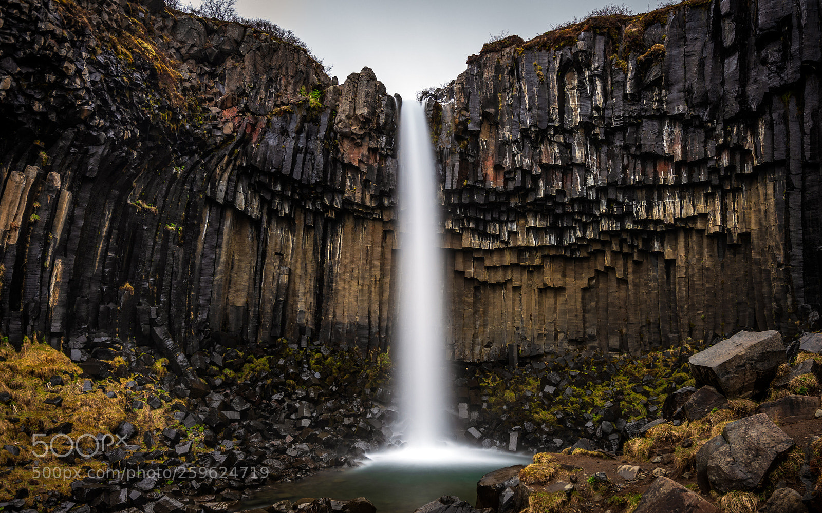 Nikon D850 sample photo. Flow 2 photography