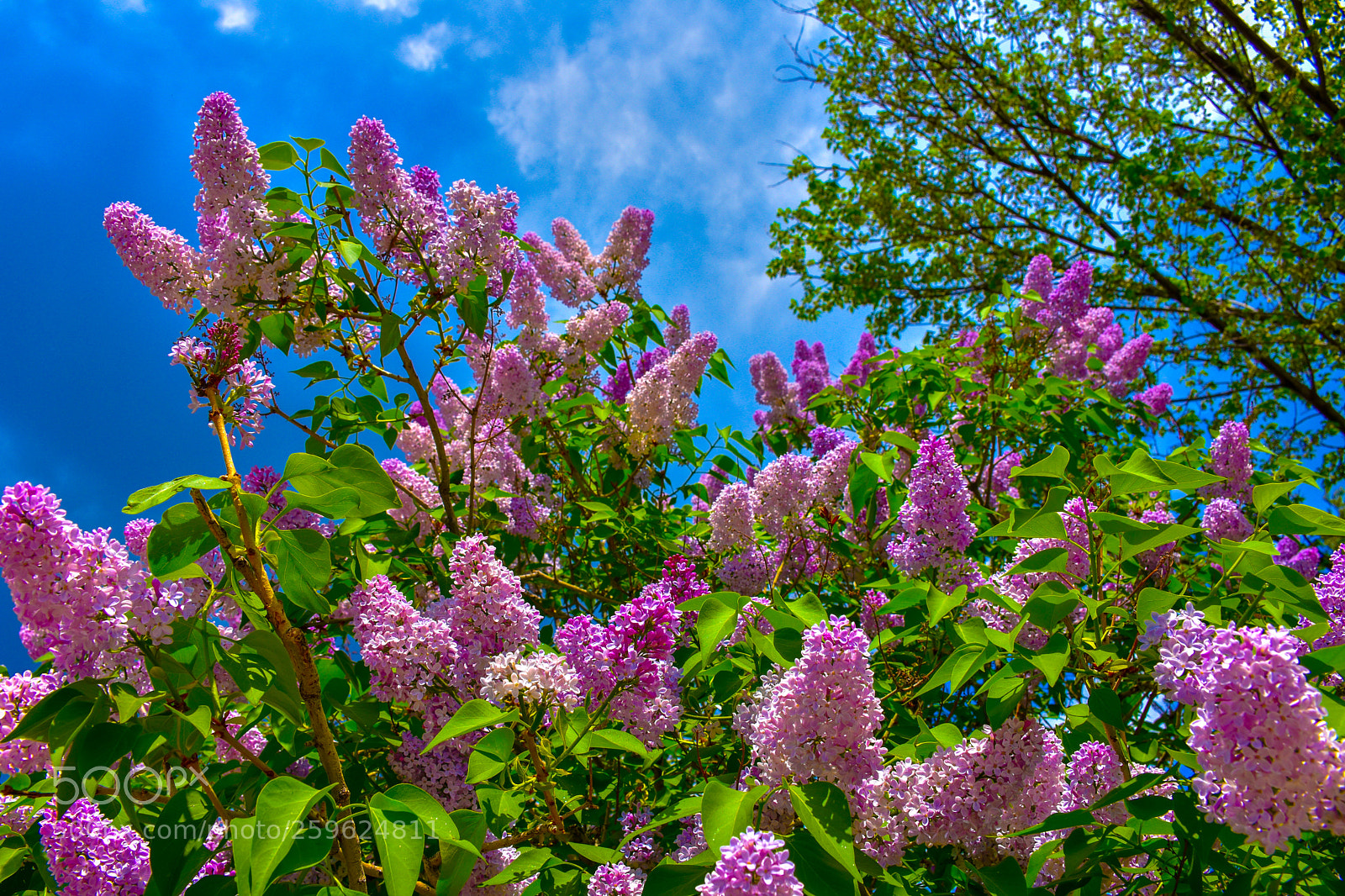 Nikon D7200 sample photo. Colors in the park photography