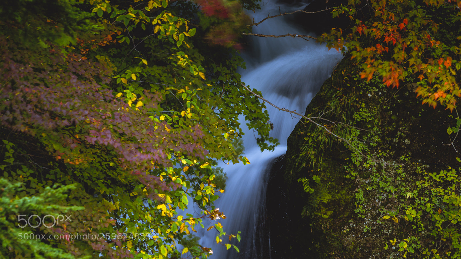 Sony a7 II sample photo. Ryuzo no taki photography