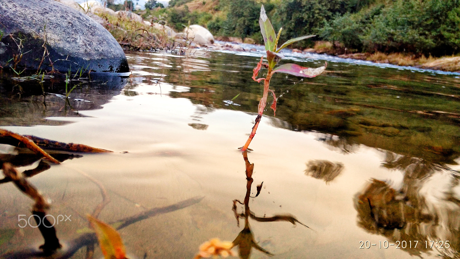 Xiaomi Redmi 4A sample photo. Natural photo, potrait photography