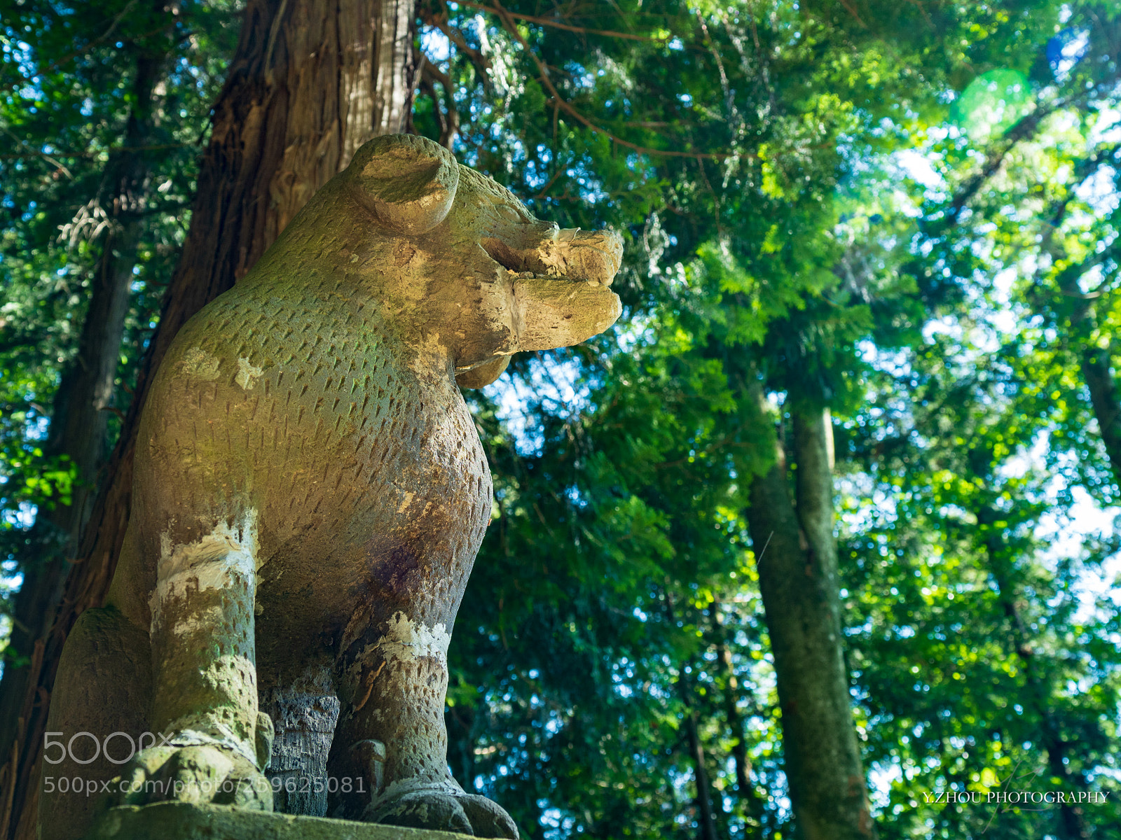 Olympus OM-D E-M1 Mark II sample photo. Komainu photography