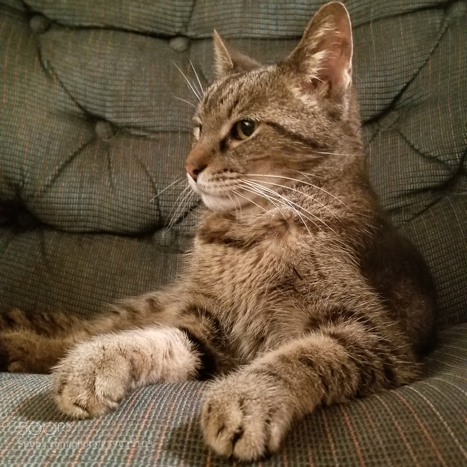 Samsung Galaxy S8+ sample photo. Untitled photography
