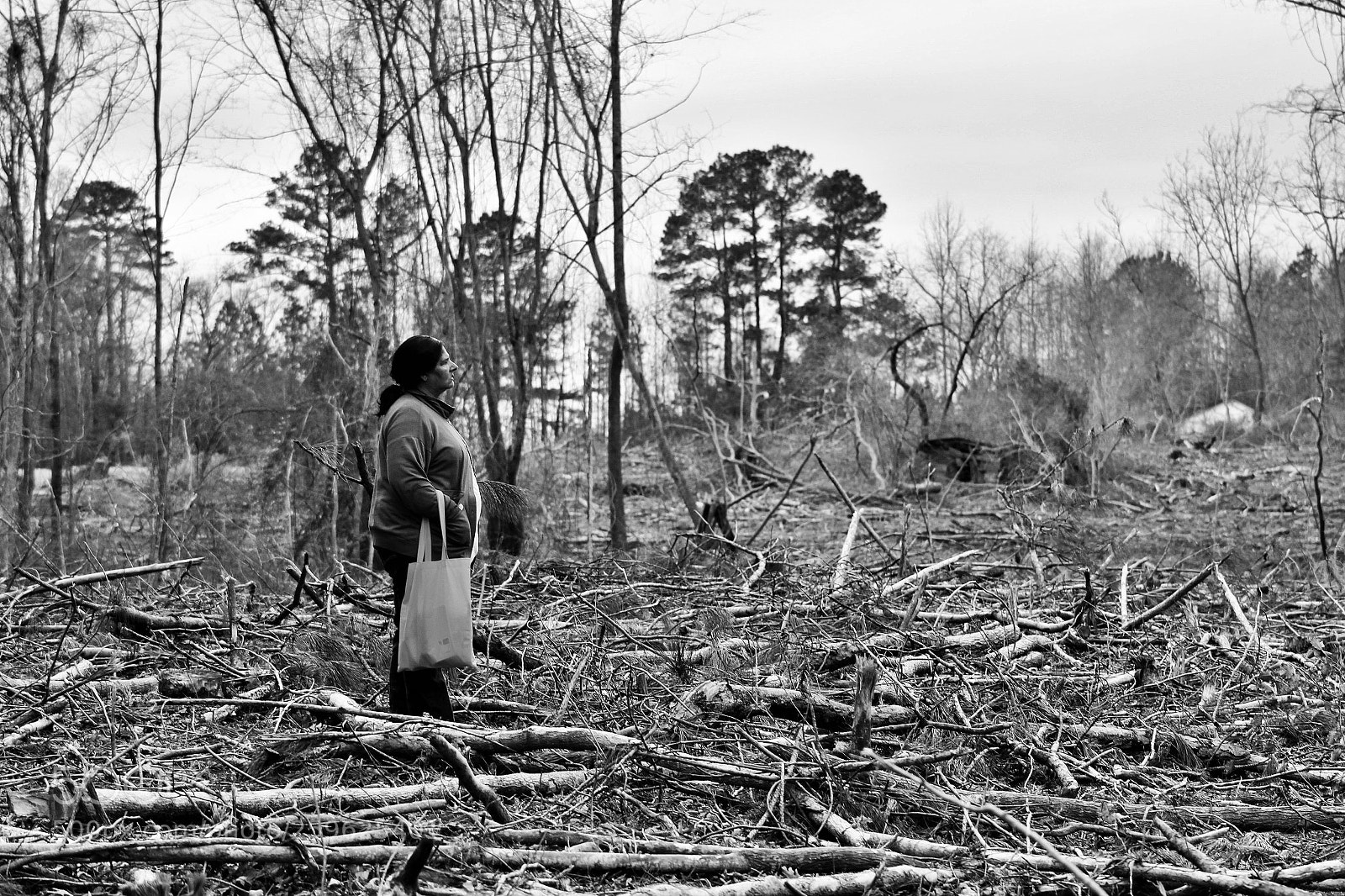 Canon EOS 1200D (EOS Rebel T5 / EOS Kiss X70 / EOS Hi) sample photo. Aftermath photography