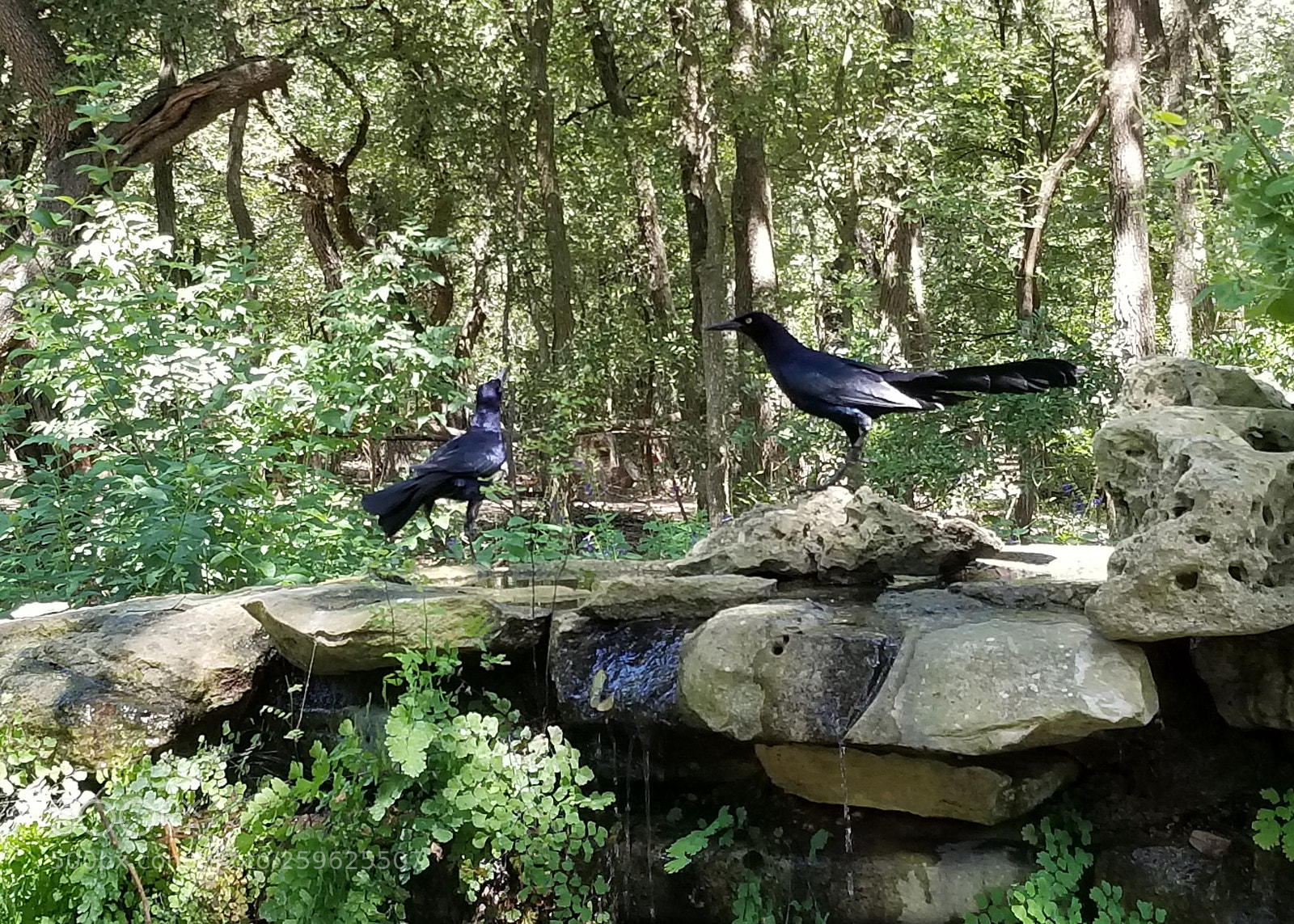 Samsung Galaxy S8+ sample photo. Untitled photography
