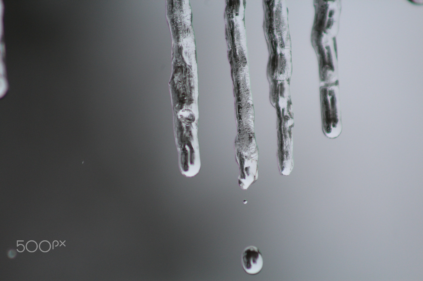 Canon EF 75-300mm f/4-5.6 USM sample photo. Icy fingers photography