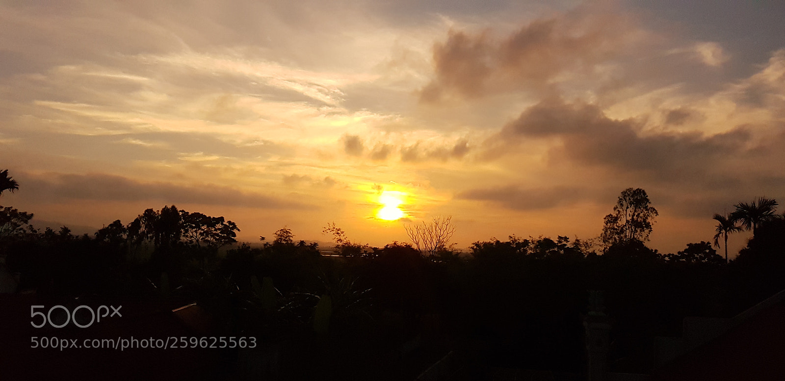 Samsung Galaxy S8 sample photo. Standing here, look at photography
