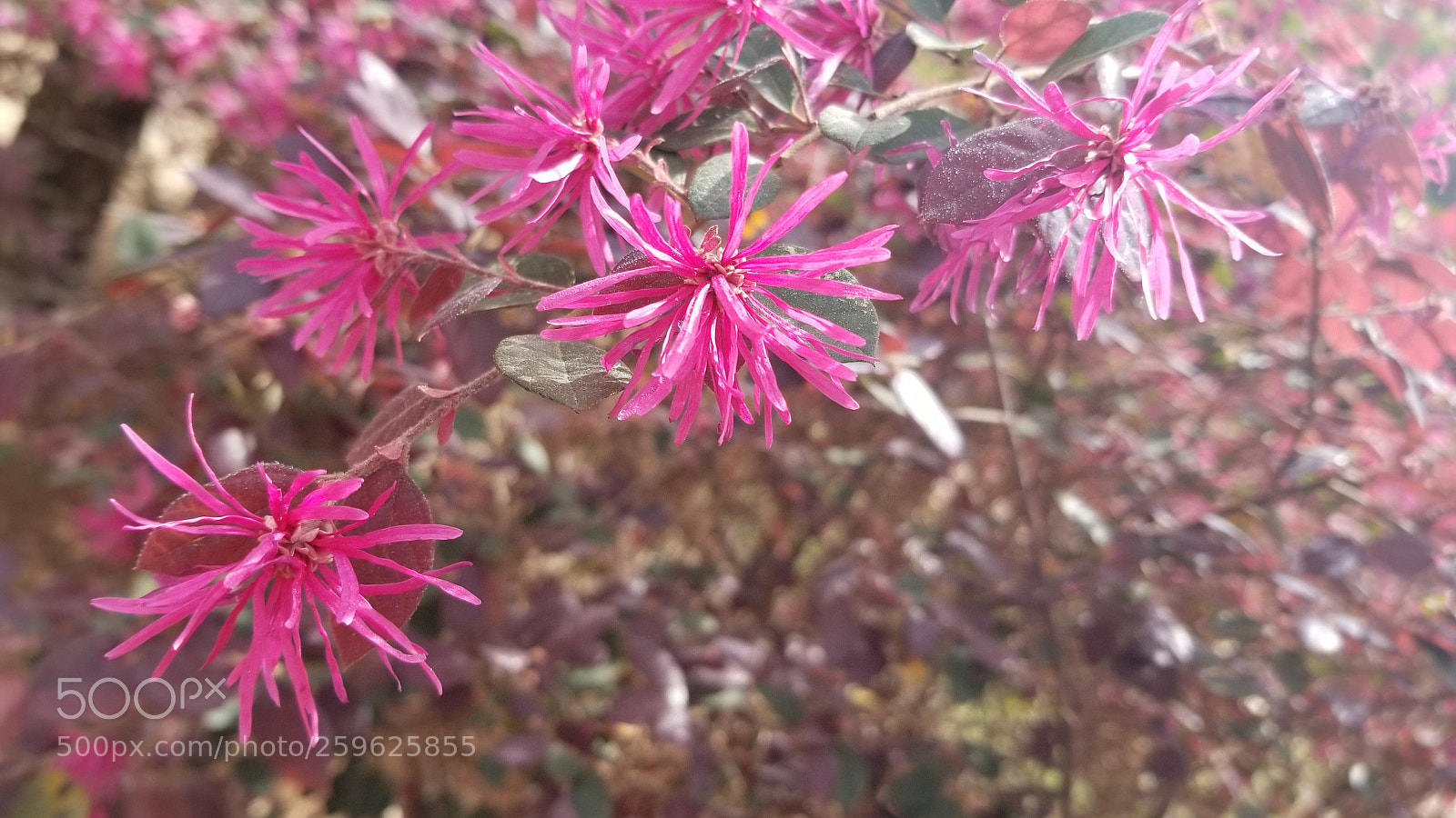 Samsung Galaxy S8+ sample photo. Untitled photography