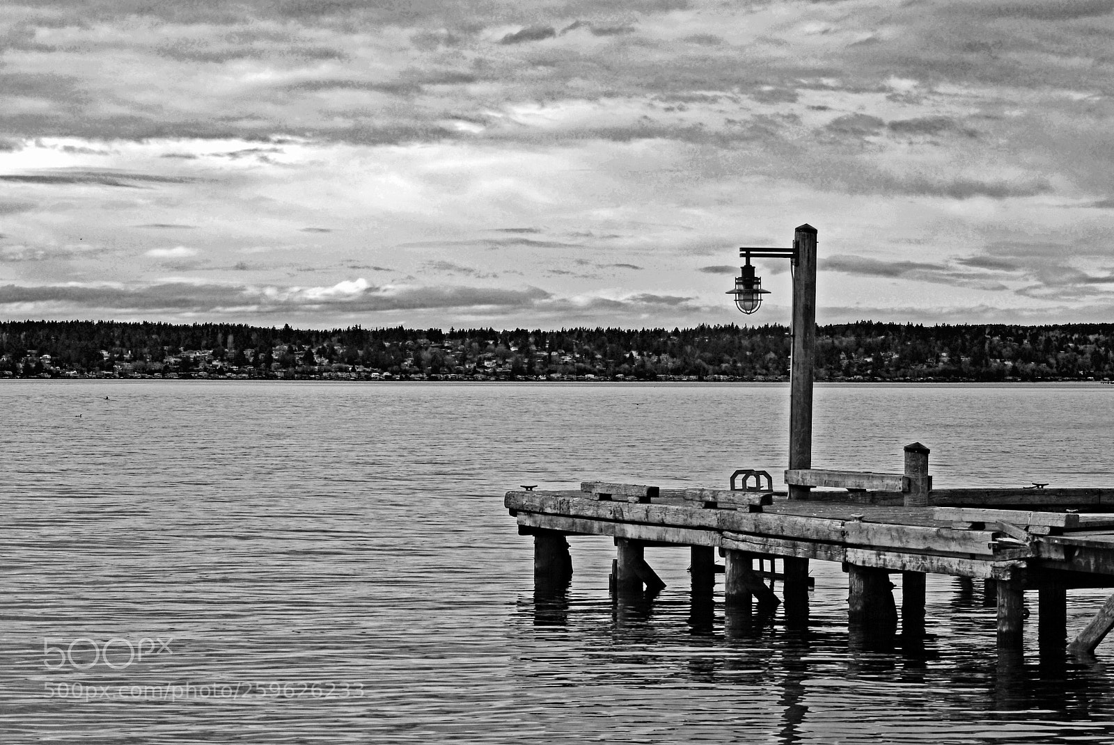 Nikon D80 sample photo. Water front in black photography