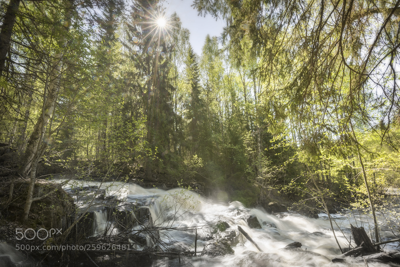 Nikon D810 sample photo. Waterfall, sun flares and photography
