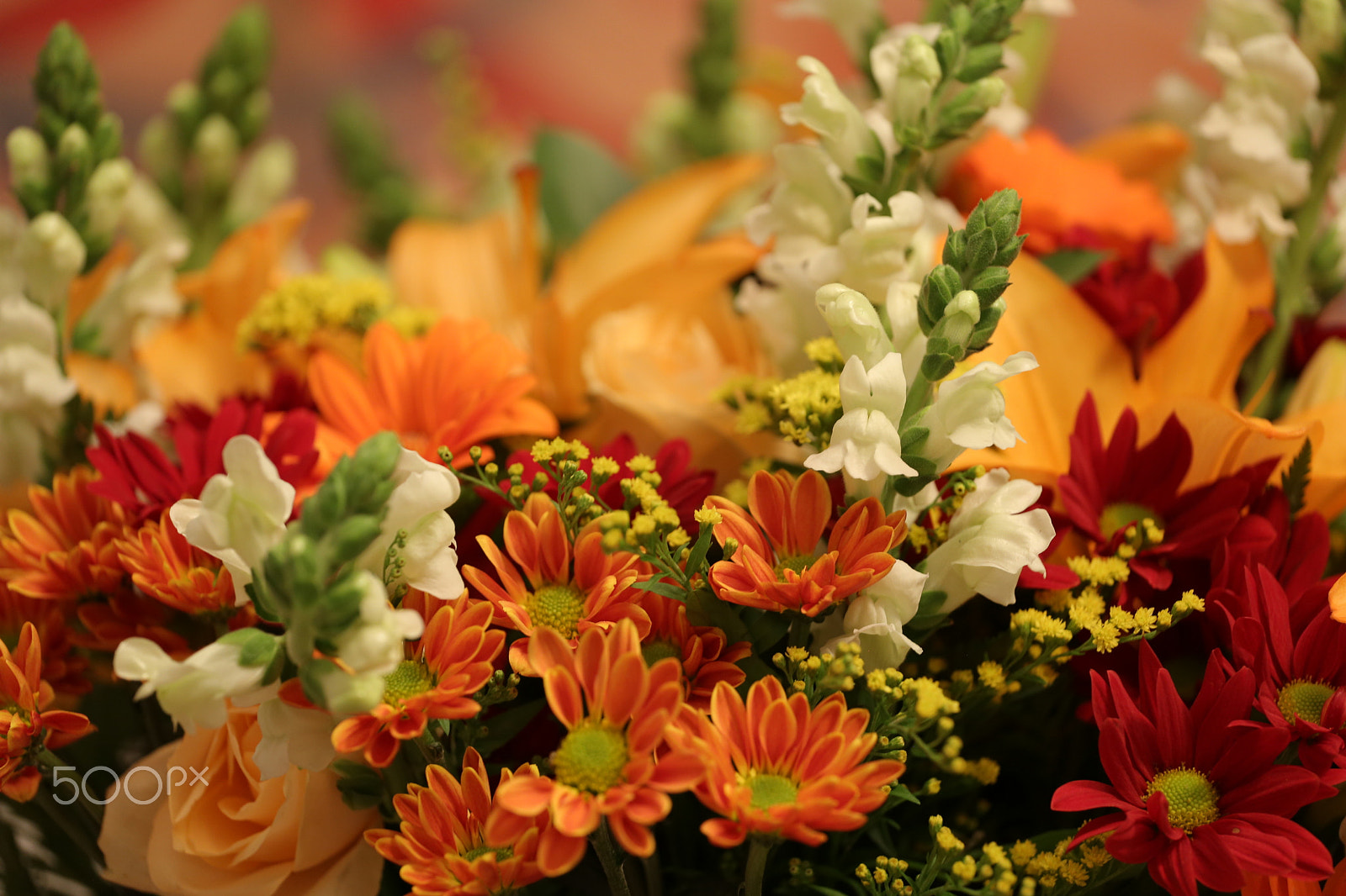Canon EOS 6D + Canon EF 70-200mm F4L USM sample photo. Bouquet potpuri photography