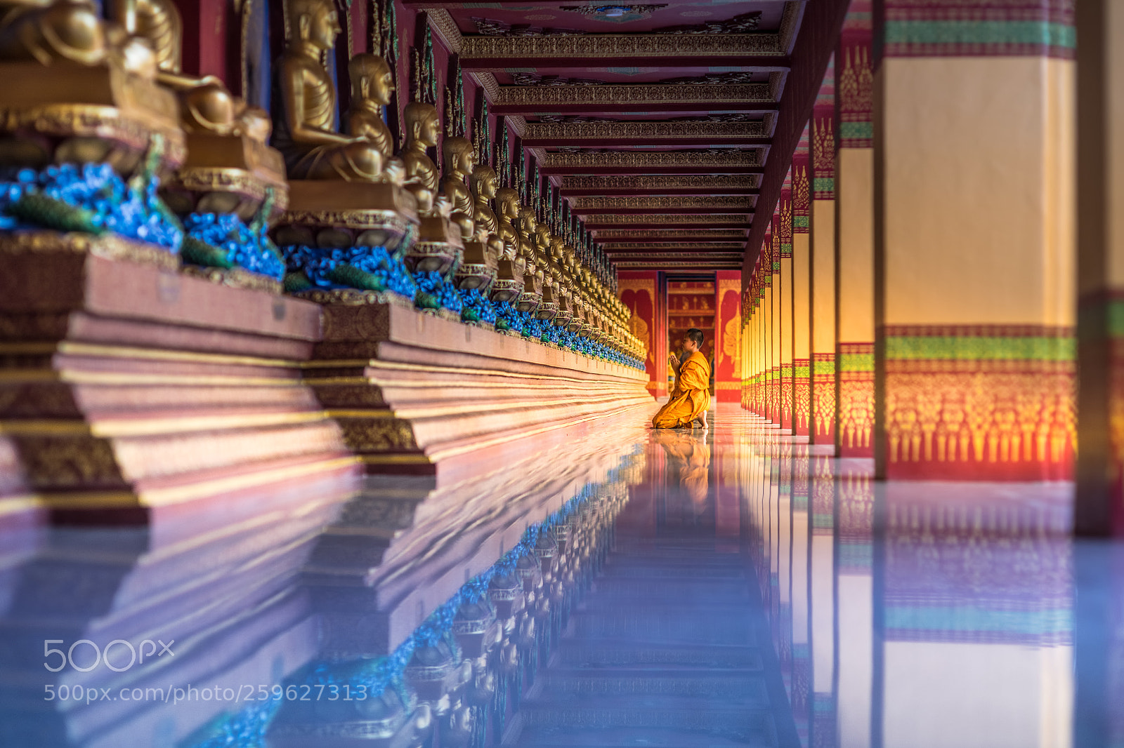 Nikon D850 sample photo. The prayer photography