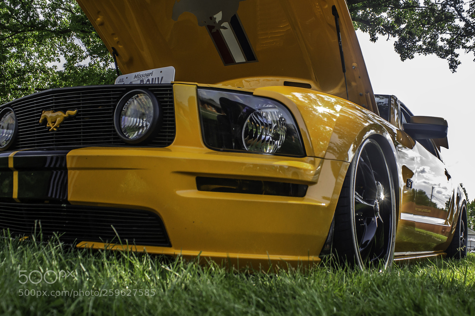 Canon EOS 600D (Rebel EOS T3i / EOS Kiss X5) sample photo. Lo pony ford mustang photography