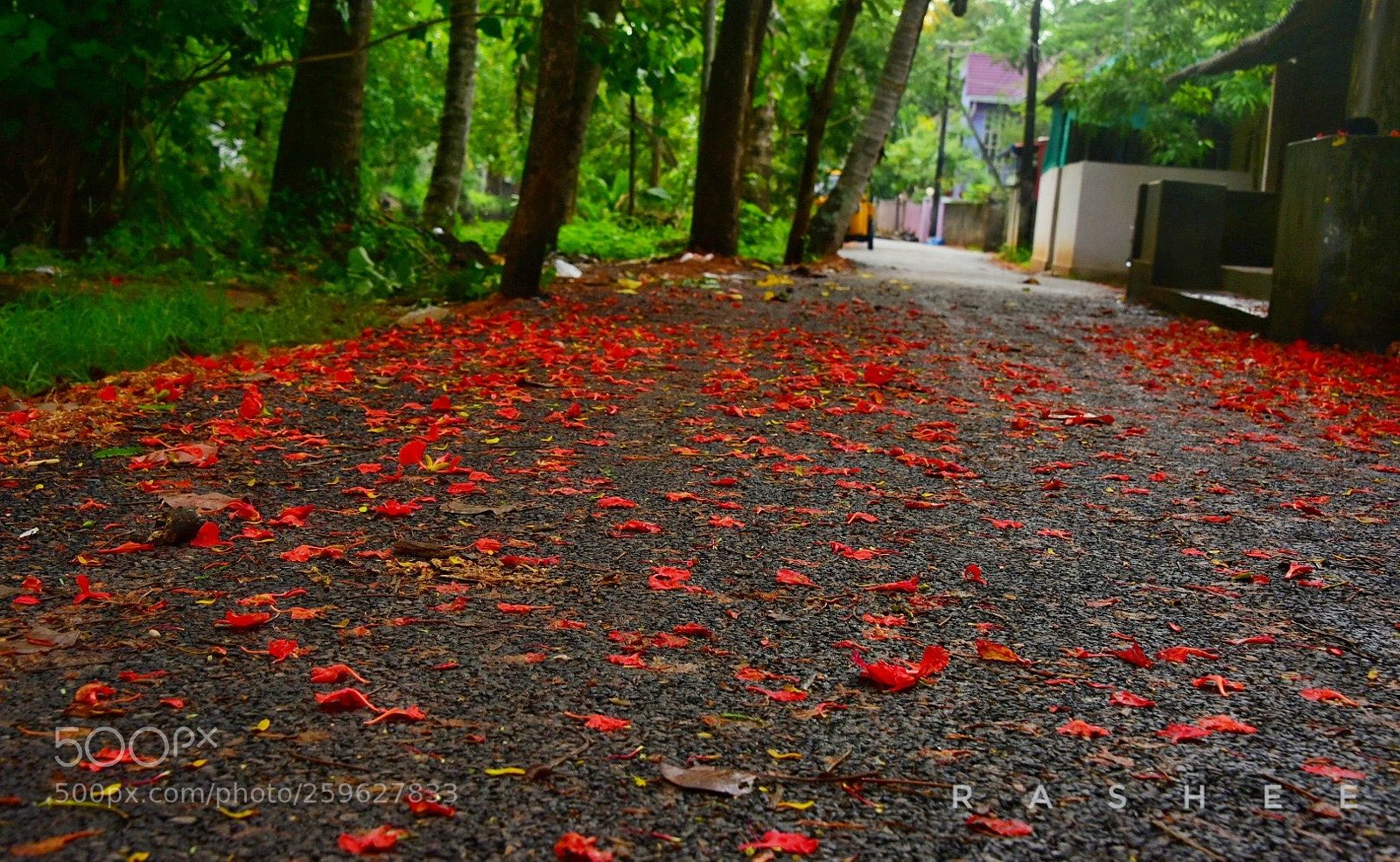 Nikon D750 sample photo. Nature..... photography