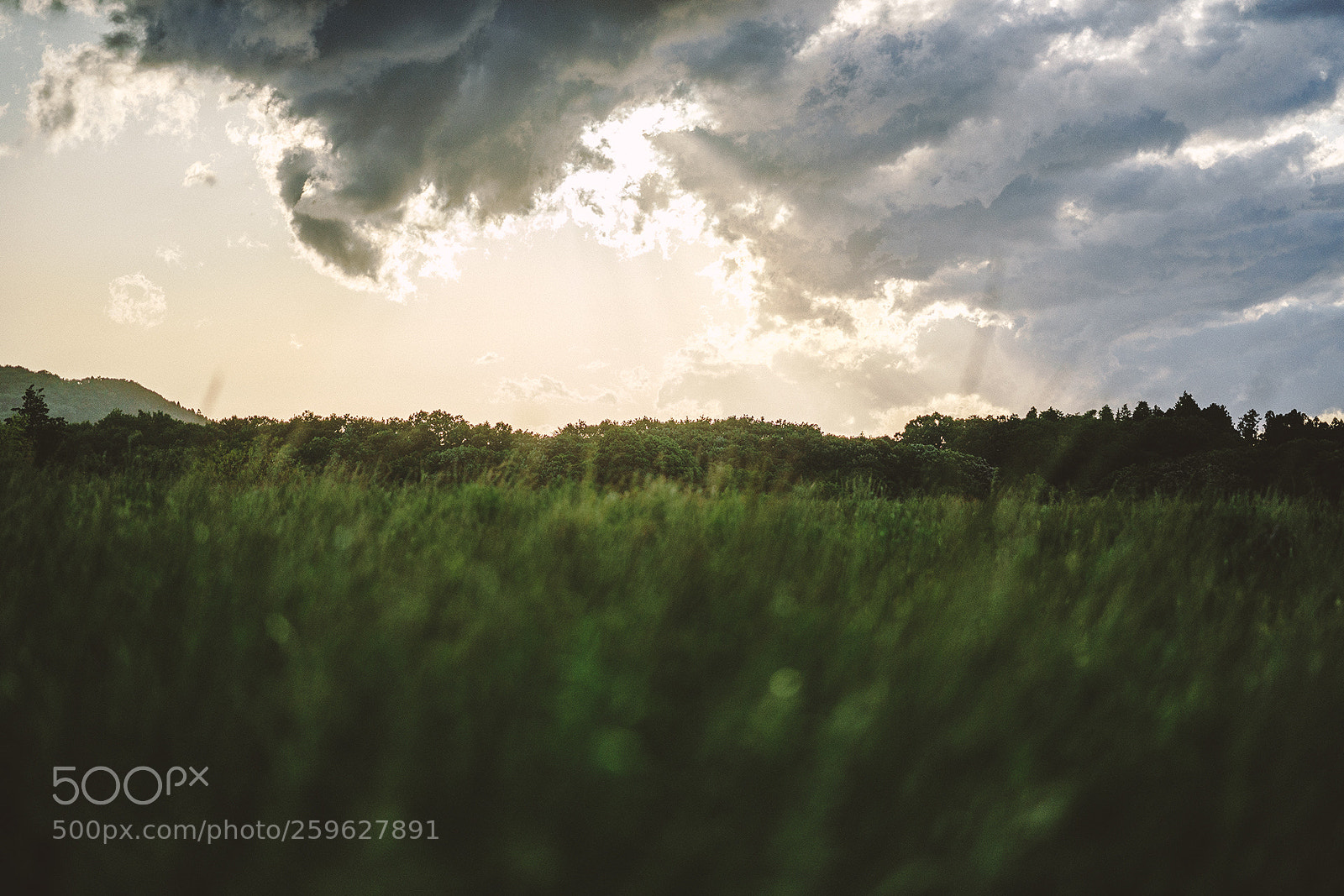 Sony a7 II sample photo. _dsc1891 photography