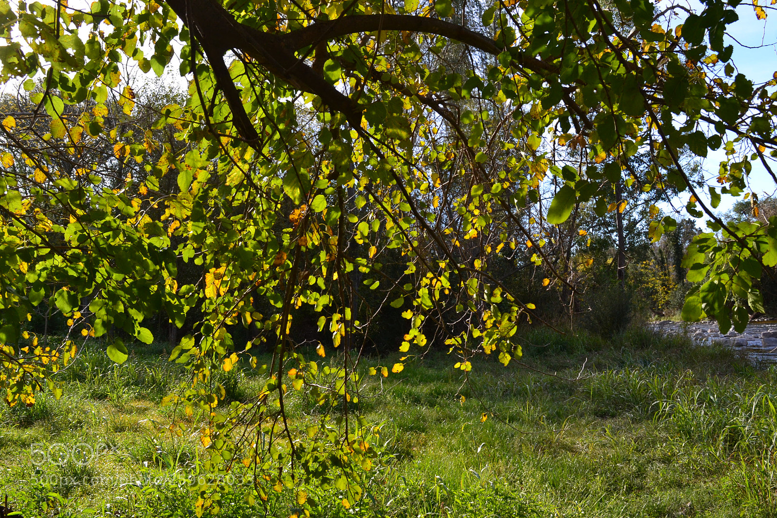 Nikon D3100 sample photo. Una tarde de mayo photography