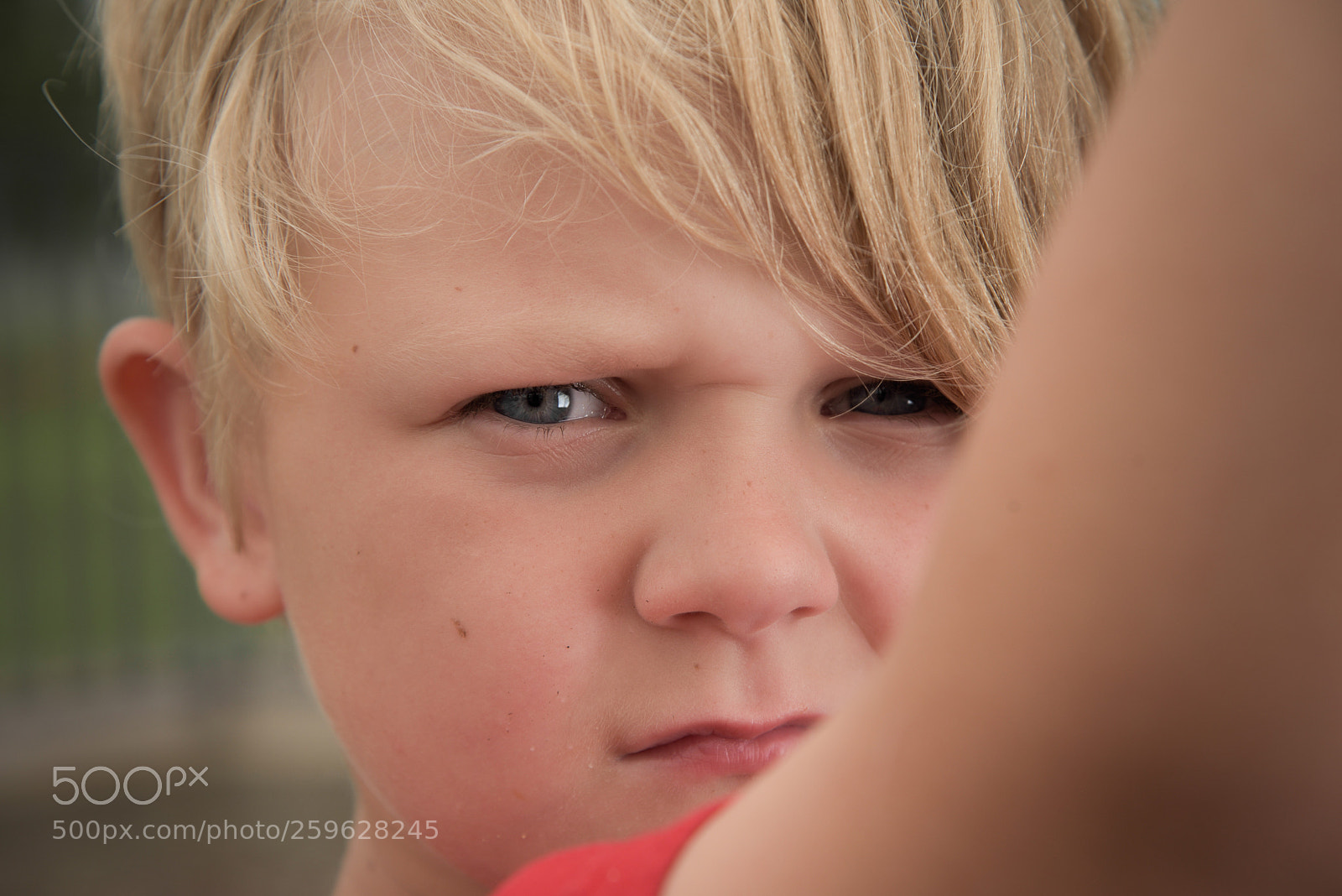 Nikon D750 sample photo. The kids photography
