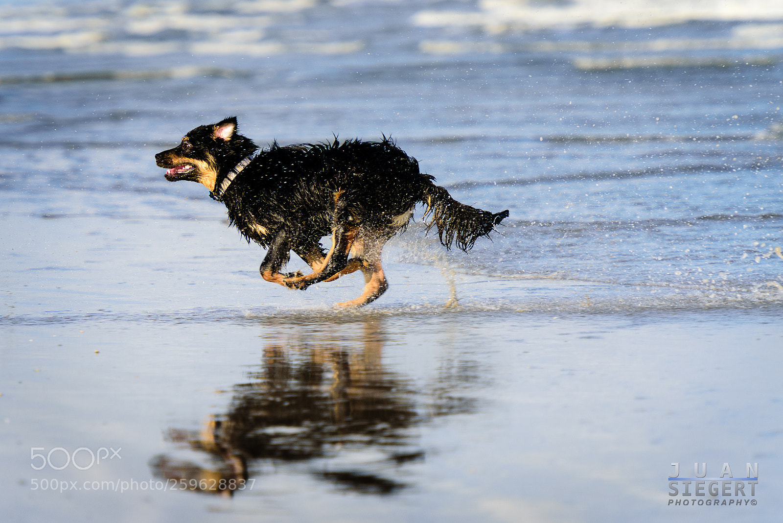 Nikon D750 sample photo. Having fun.... photography