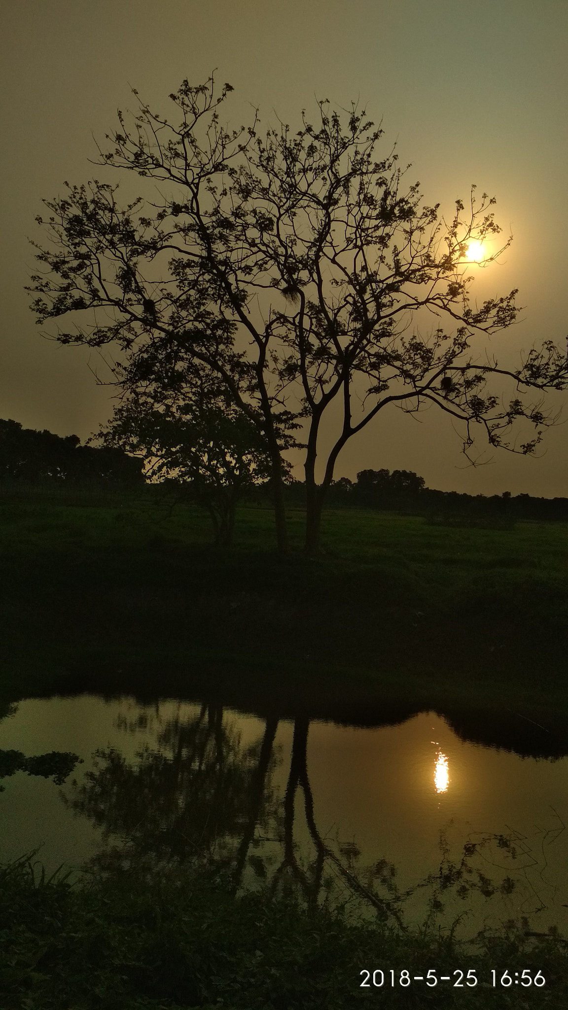 Xiaomi Redmi 4 Pro sample photo