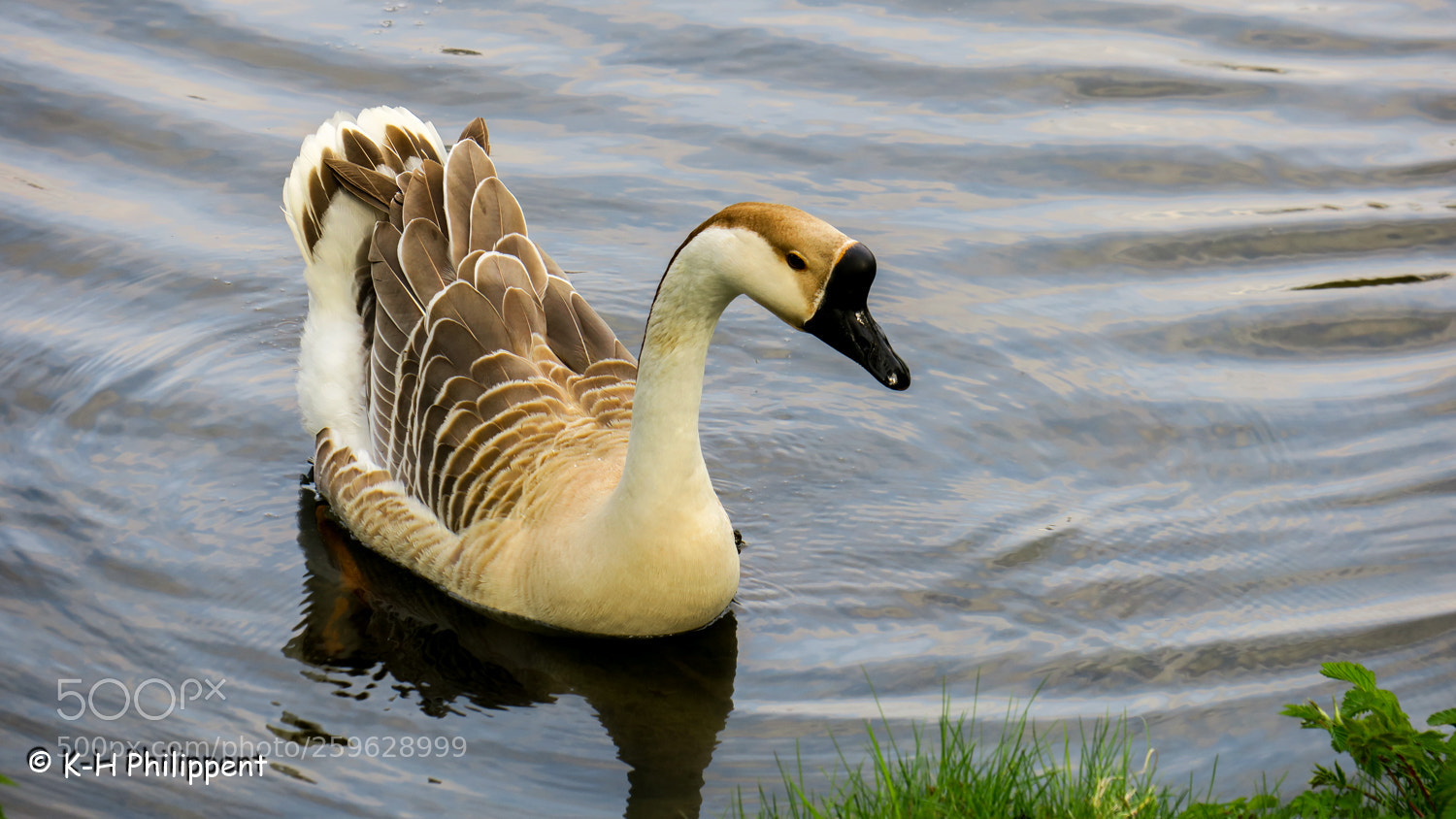 Canon PowerShot G3 X sample photo. Vellmar germany , ahnepark photography
