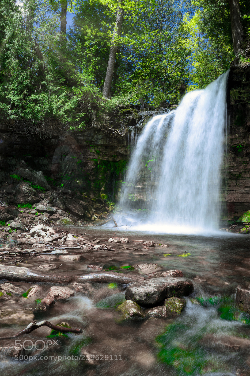 Sony a7 II sample photo. Hilton falls photography