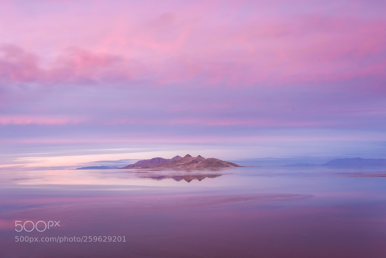 Nikon D750 sample photo. Pink island photography