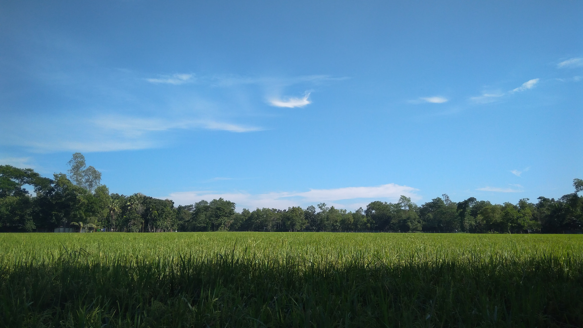 Xiaomi Redmi 4A sample photo. Blue sky photography