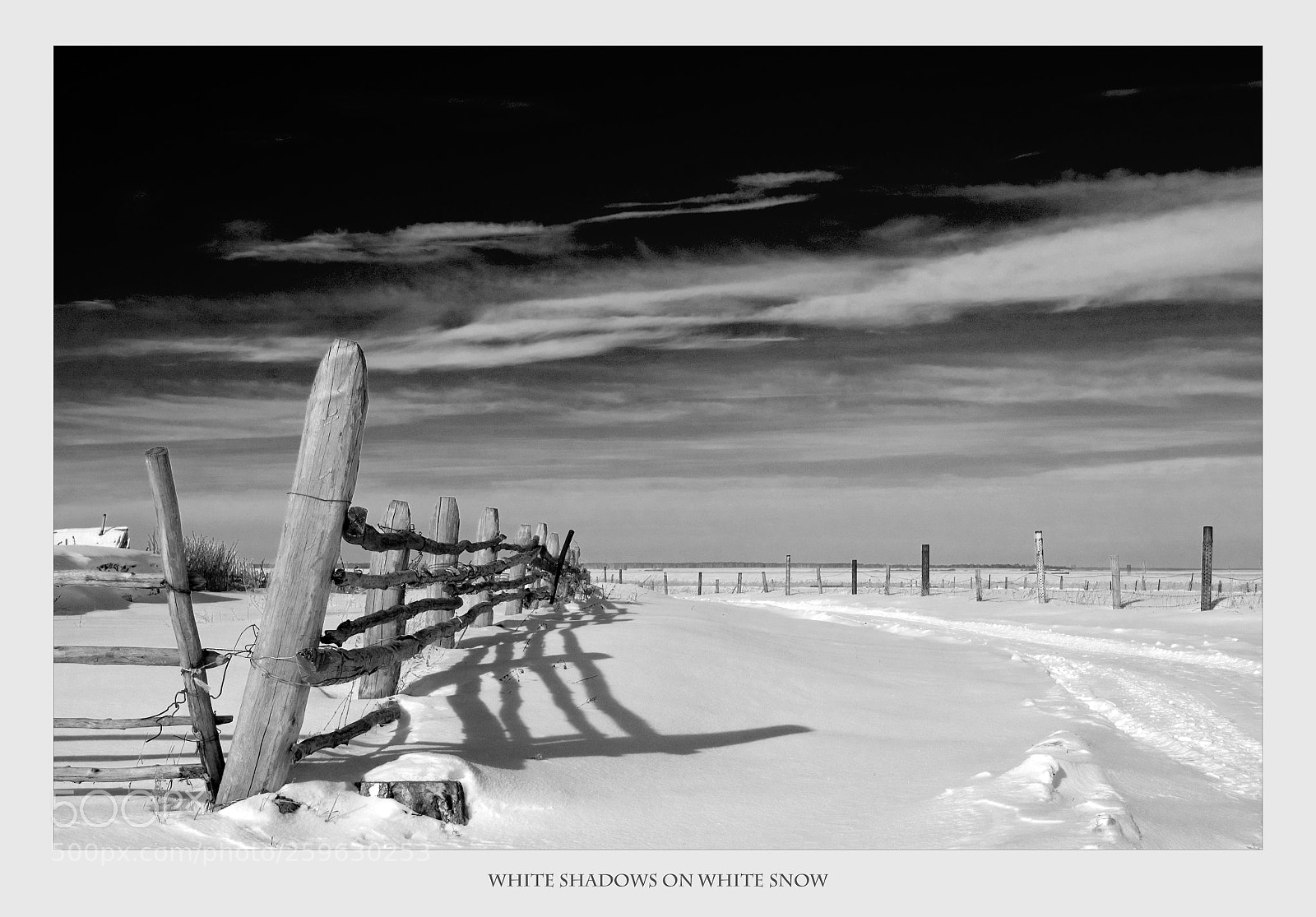 Nikon D70 sample photo. White shadows on white photography
