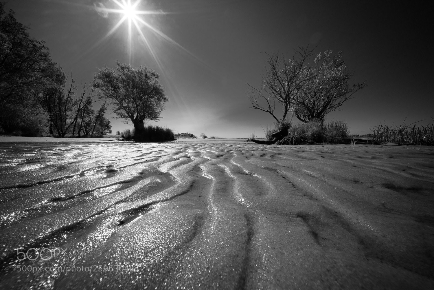 Sony a7R sample photo. Beach patterns photography