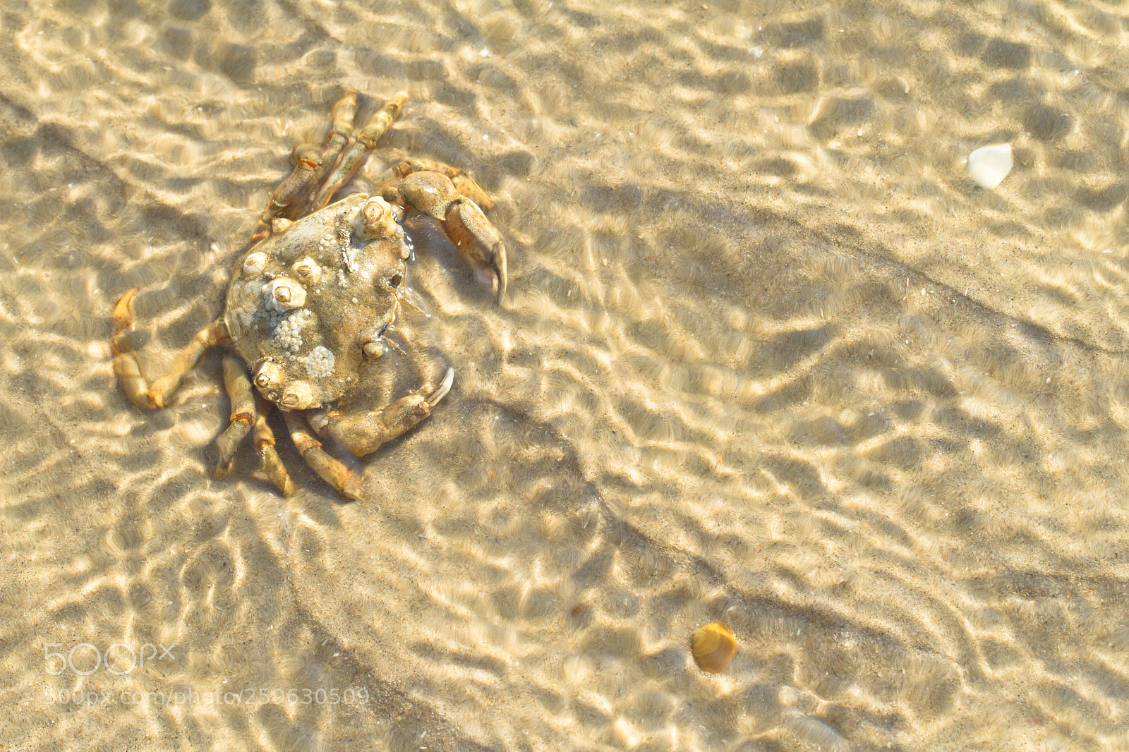 Canon EOS 7D sample photo. Seashore photography
