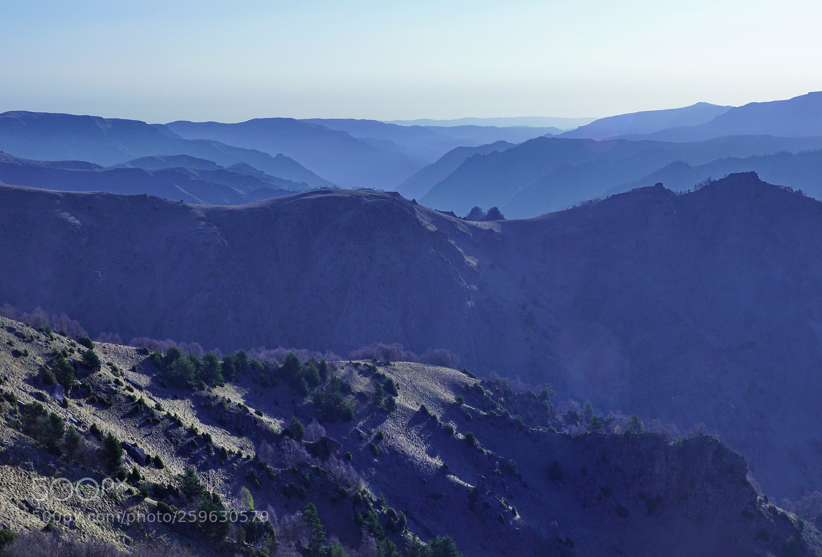 Sony SLT-A68 sample photo. *** photography