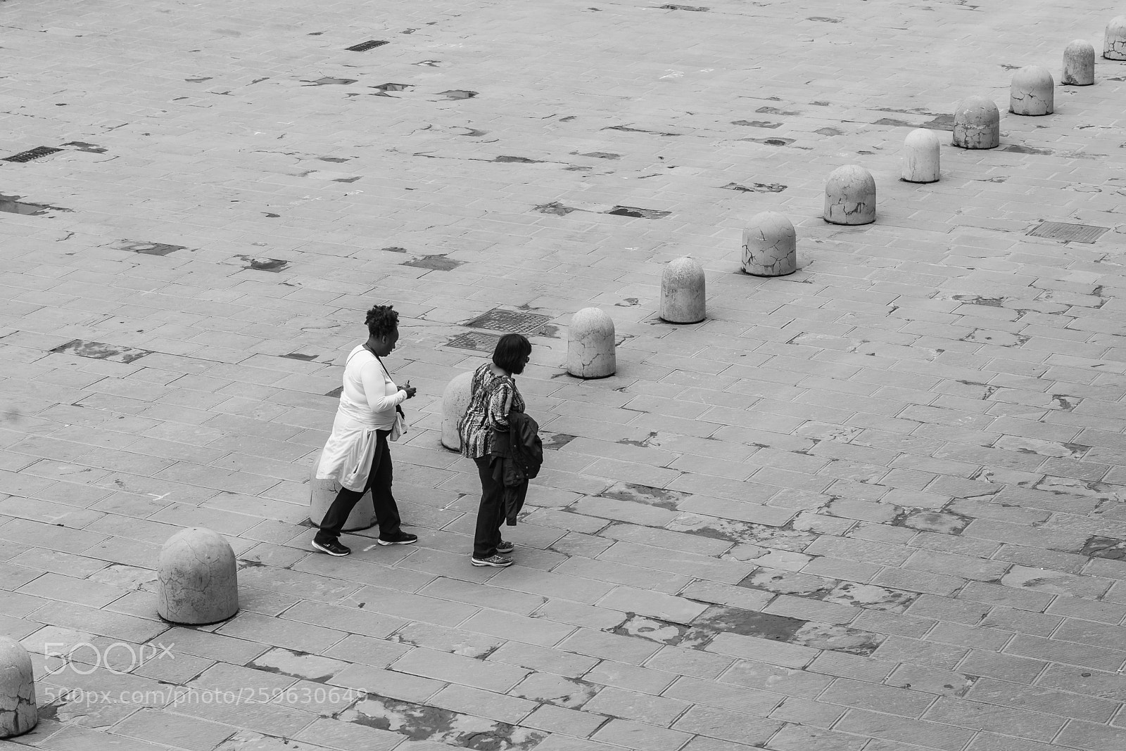 Nikon D610 sample photo. _dsc7149-4.jpg photography