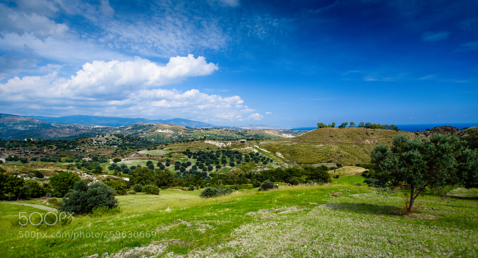Nikon D750 sample photo. Calabria photography