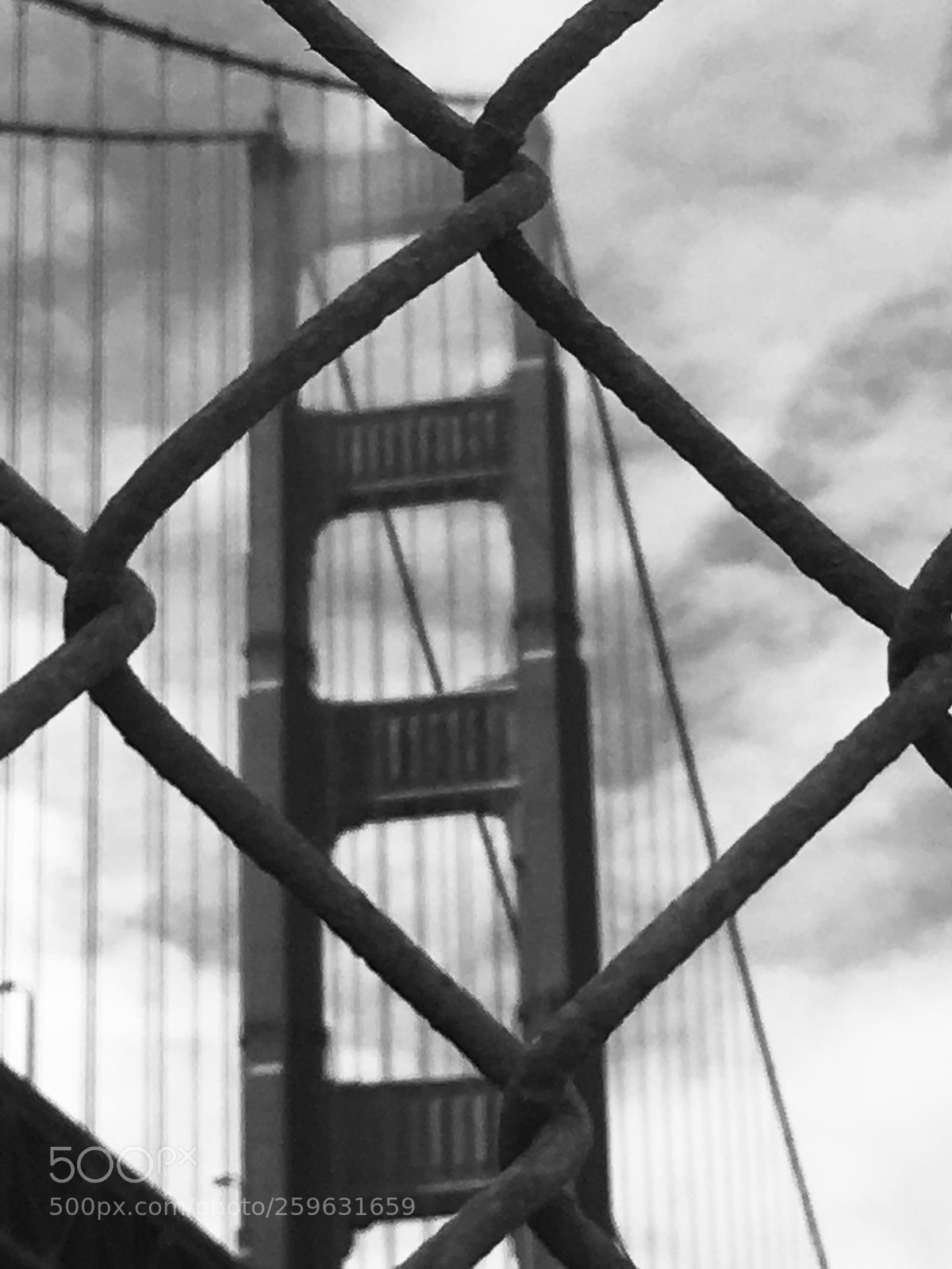 Apple iPhone 6s Plus sample photo. Untitled photography