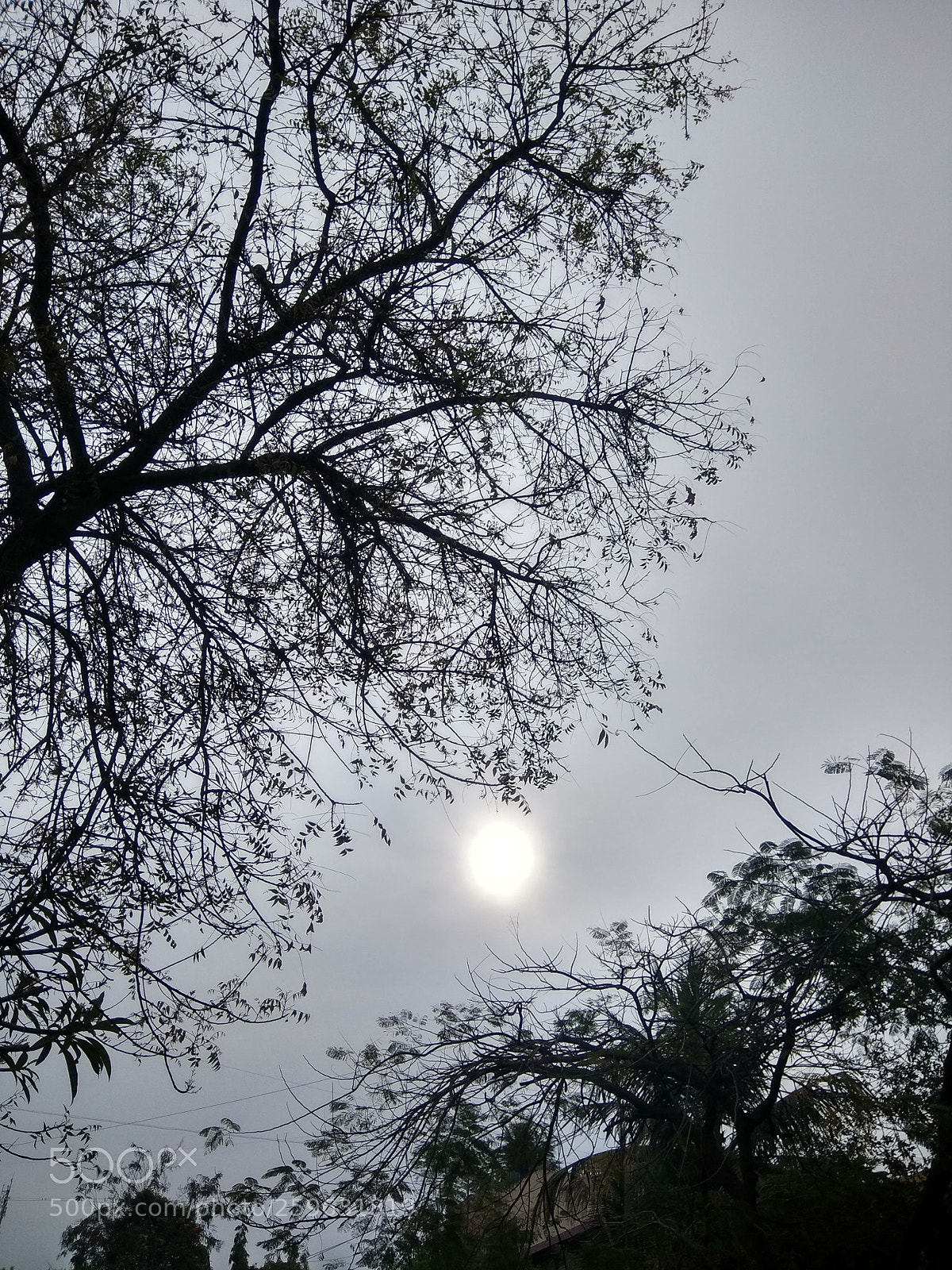 Xiaomi Redmi Note 4 sample photo. Raising sun photography