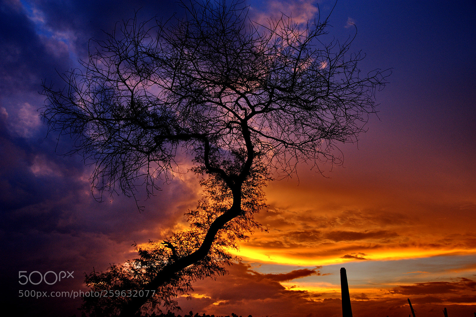 Nikon D700 sample photo. Twilight photography