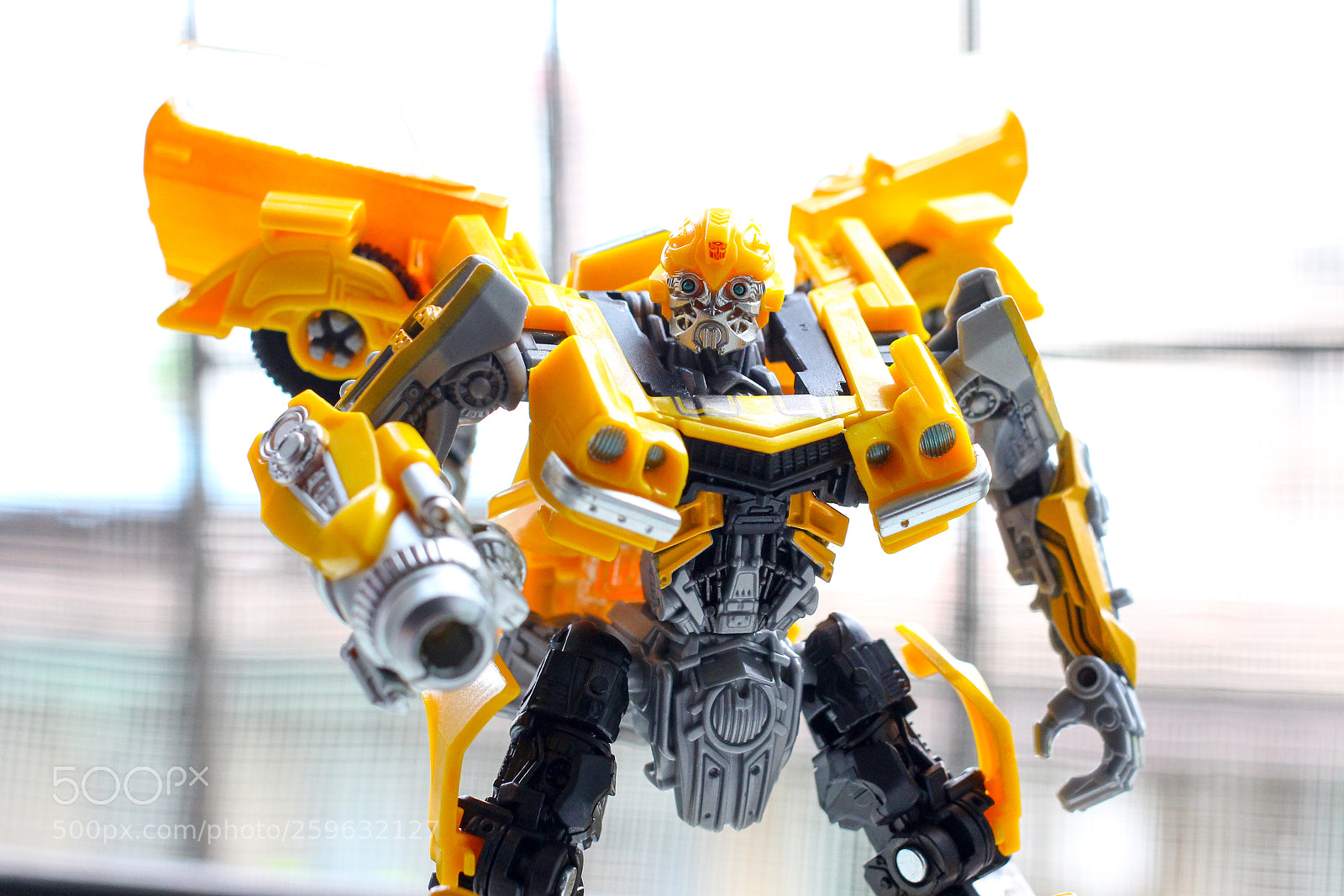 Canon EOS 60D sample photo. Bumblebee photography