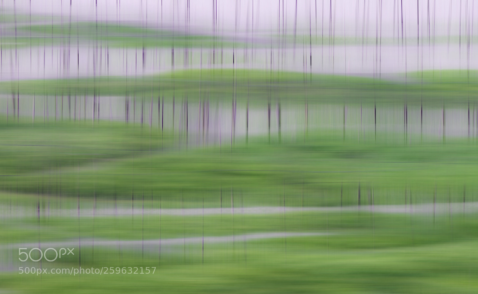 Canon EOS 6D sample photo. The green land photography
