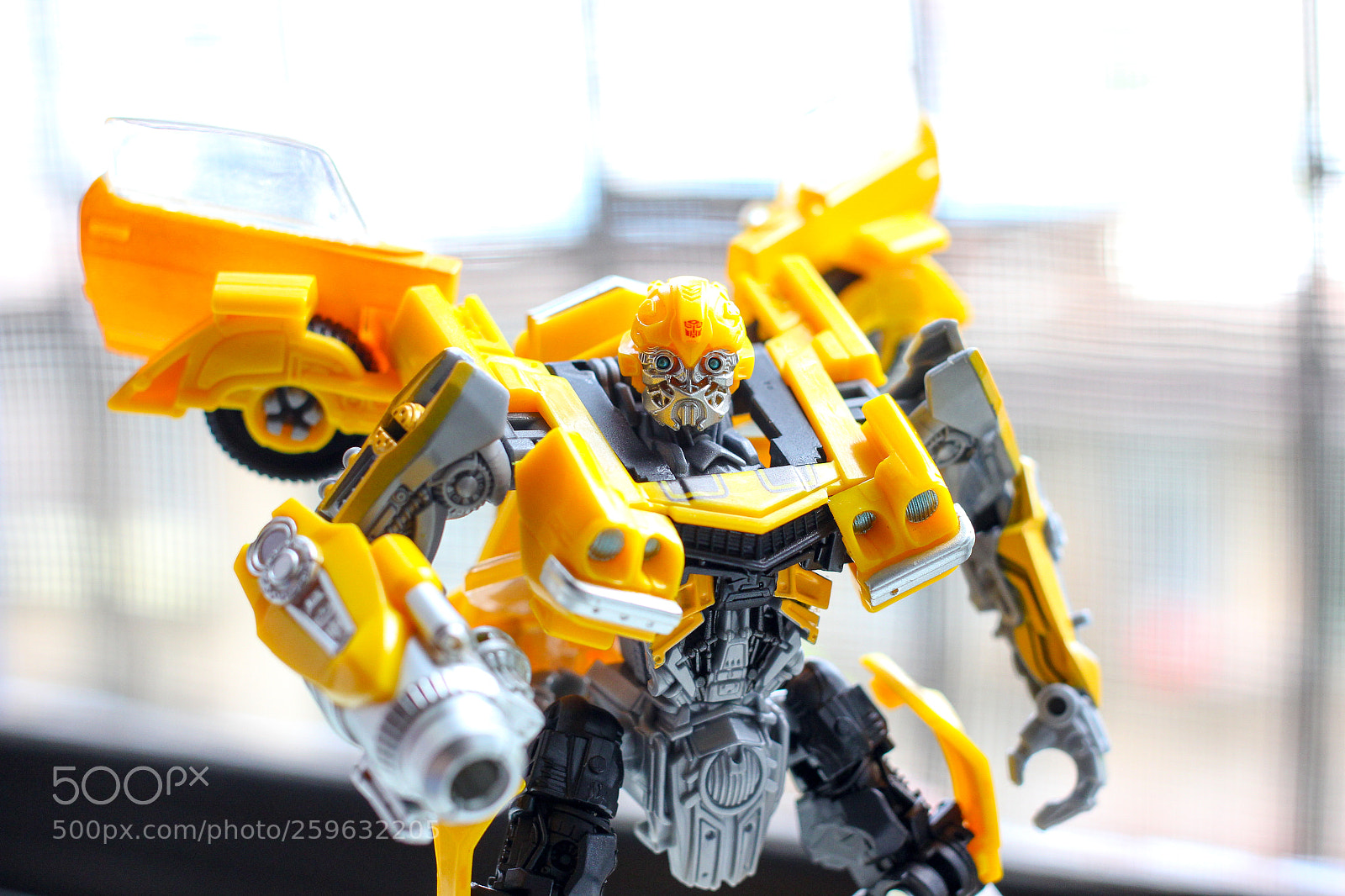 Canon EOS 60D sample photo. Bumblebee photography