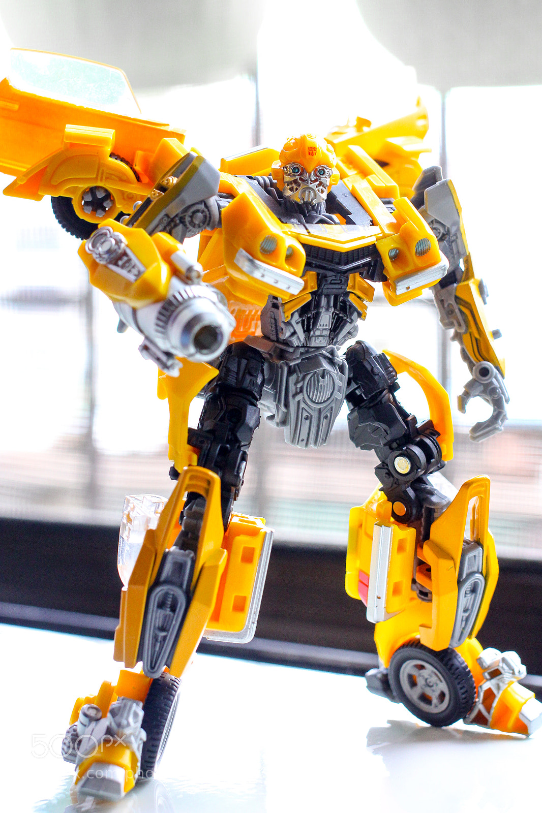 Canon EOS 60D sample photo. Bumblebee photography