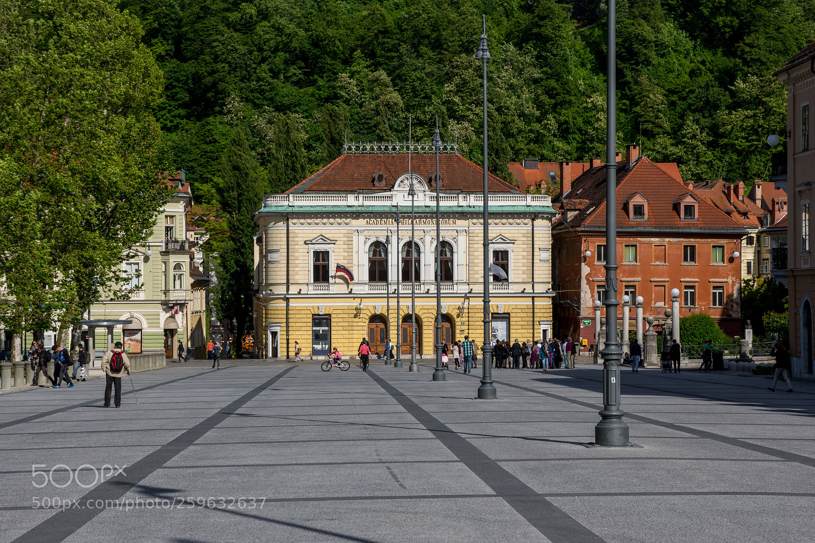 Nikon D7200 sample photo. Academia philharmonicorum photography
