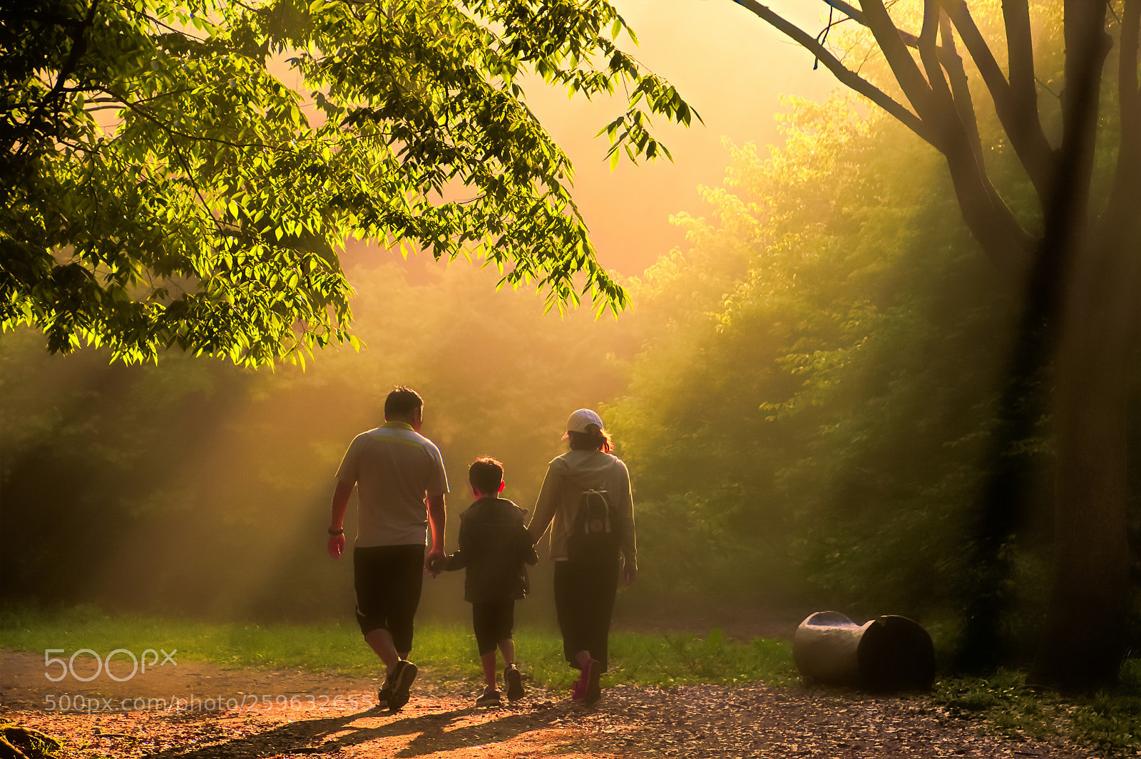 Nikon D500 sample photo. Family and sunlight photography