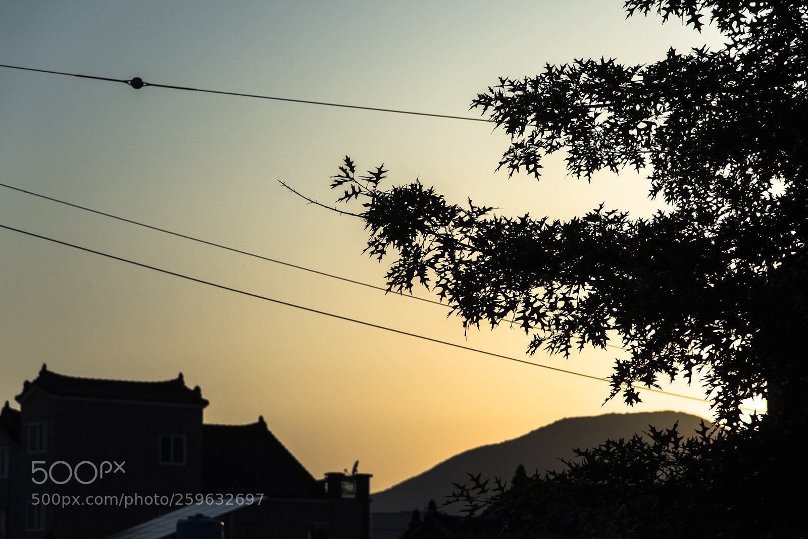 Nikon D810 sample photo. In a town   no.33 photography
