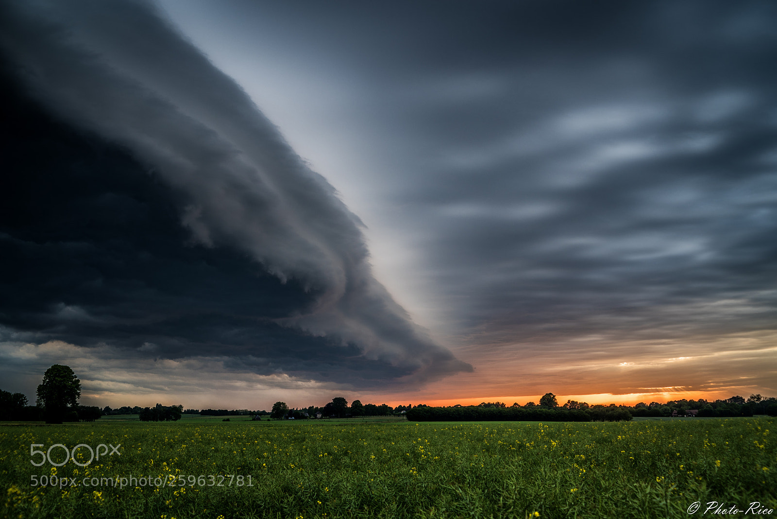 Nikon D750 sample photo. Orage photography