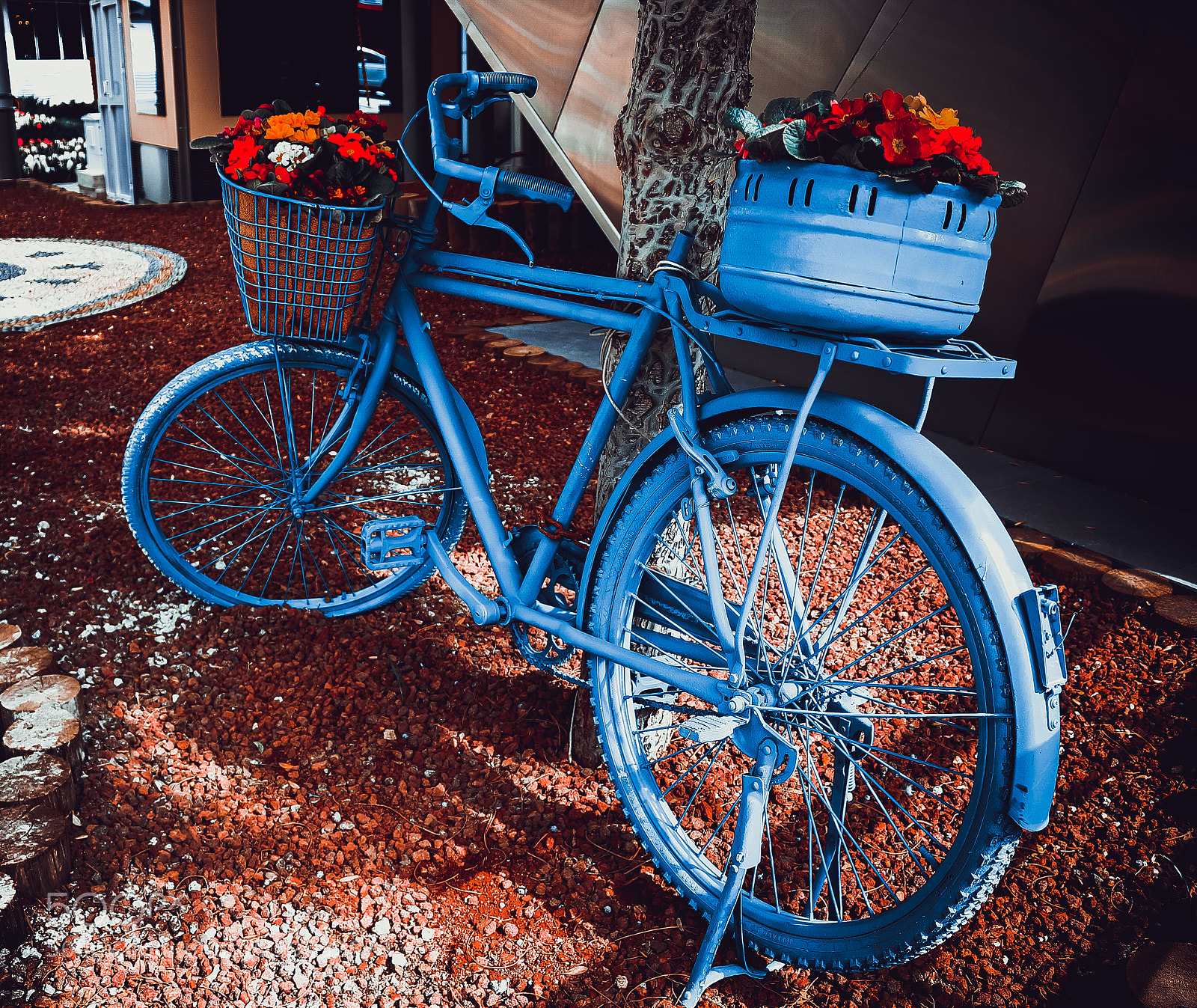 Canon EOS 700D (EOS Rebel T5i / EOS Kiss X7i) sample photo. My baby blue bicycle photography