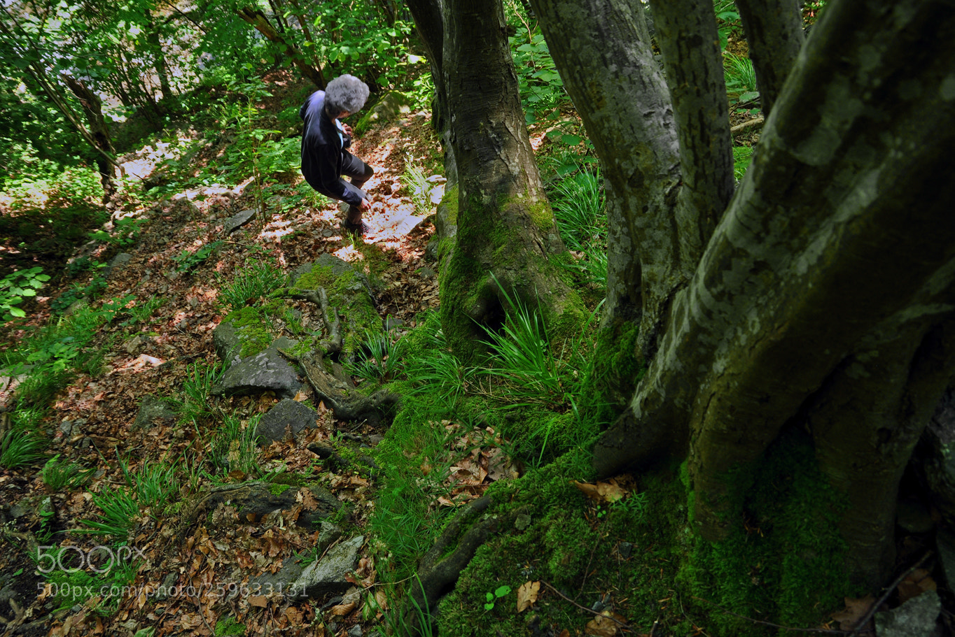 Nikon D90 sample photo. In mountains photography